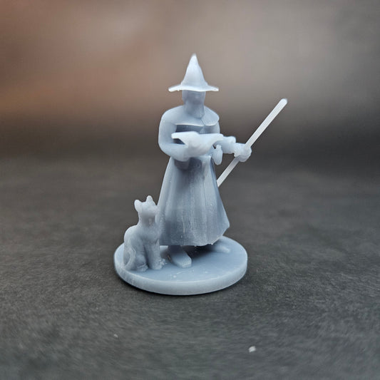 Wizard (Human Male) w/ Cat Familiar - MZ4250