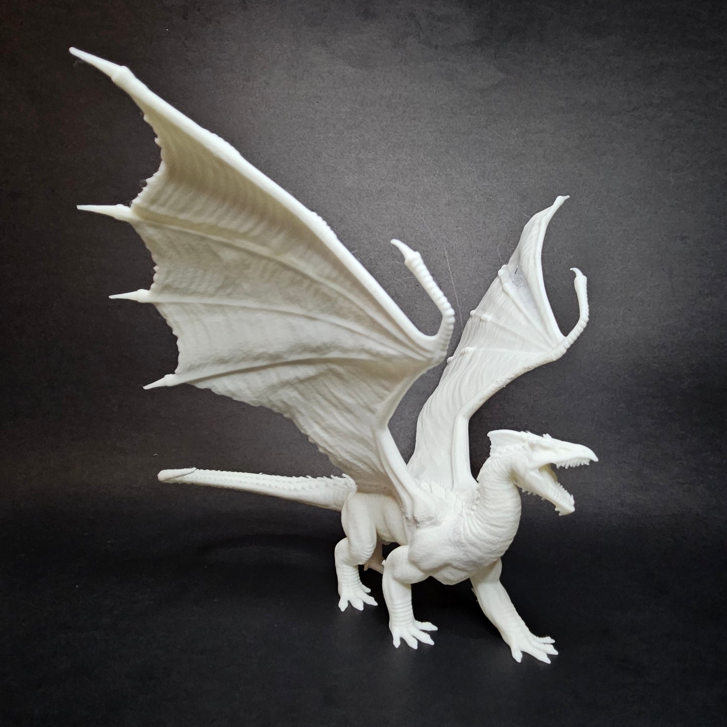 Dragon, Chromatic - White (Various Ages and Poses) - MZ4250