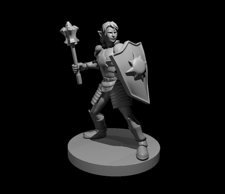 Cleric of Light (Elf, Female) 01 - MZ4250