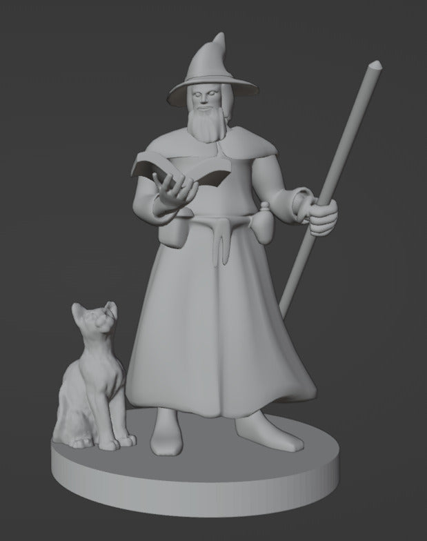 Wizard (Human Male) w/ Cat Familiar - MZ4250