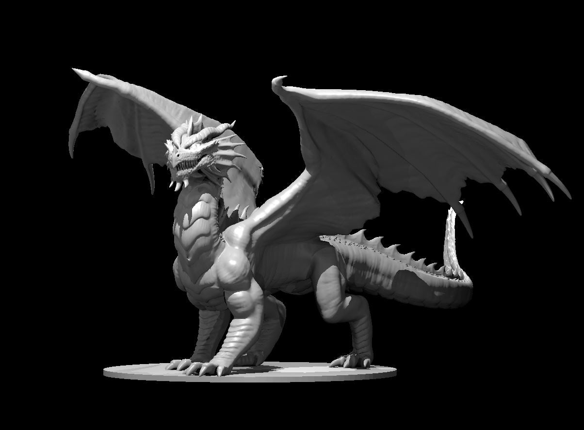 Dragon, Chromatic - Red (Various Ages and Poses) - MZ4250