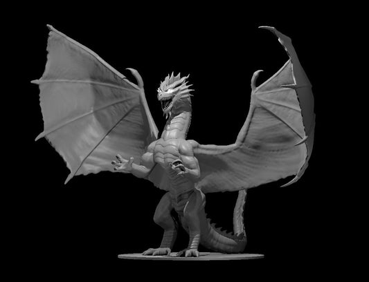Dragon, Chromatic - Red (Various Ages and Poses) - MZ4250