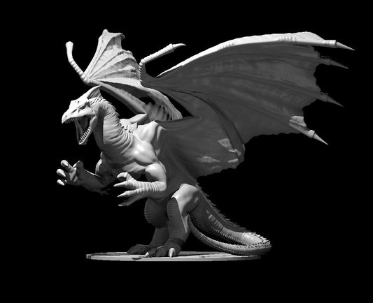 Dragon, Chromatic - White (Various Ages and Poses) - MZ4250