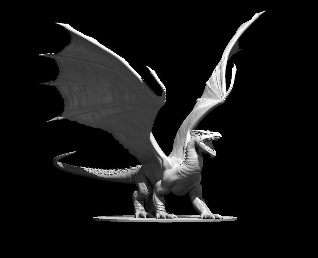 Dragon, Chromatic - White (Various Ages and Poses) - MZ4250