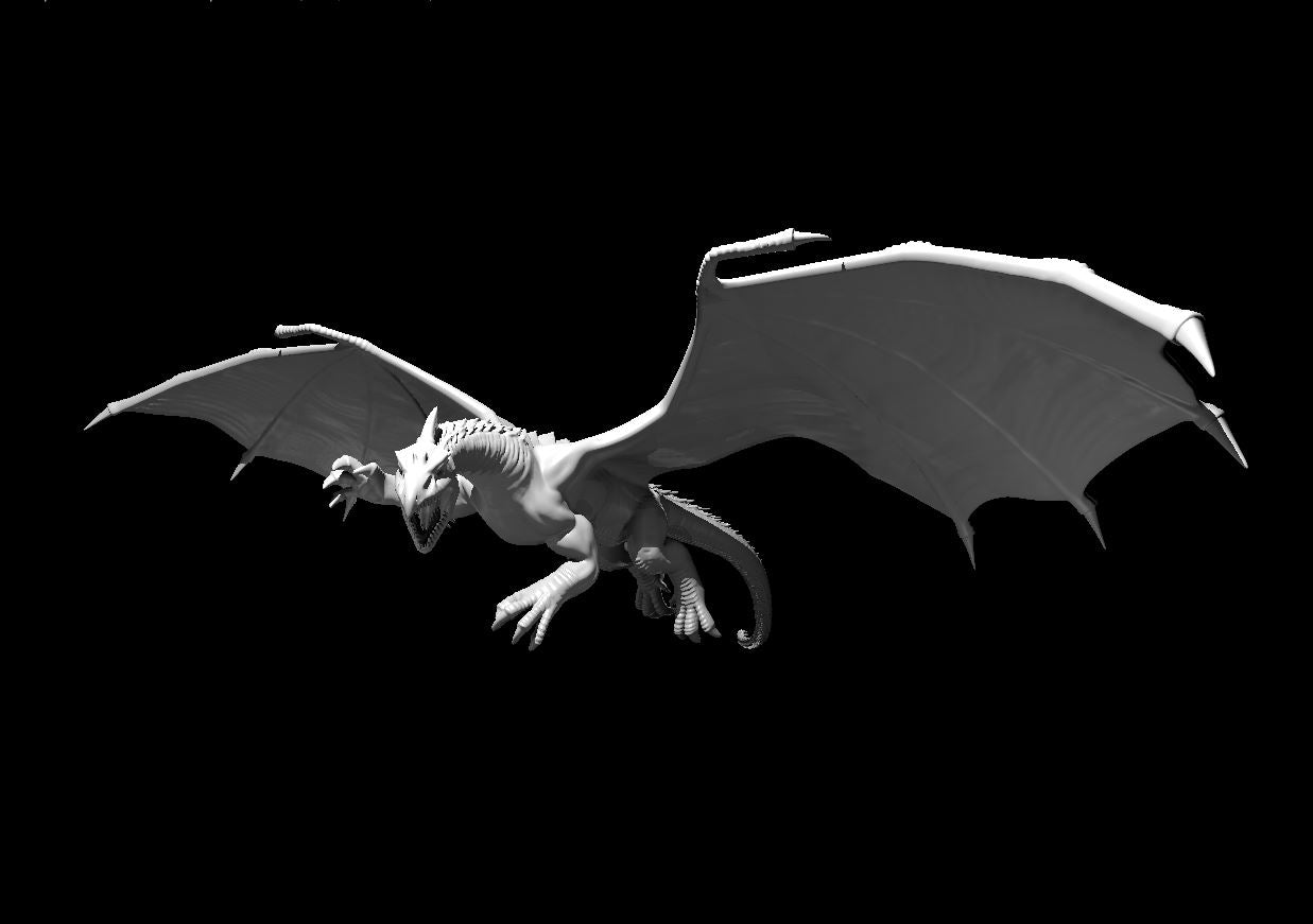 Dragon, Chromatic - White (Various Ages and Poses) - MZ4250