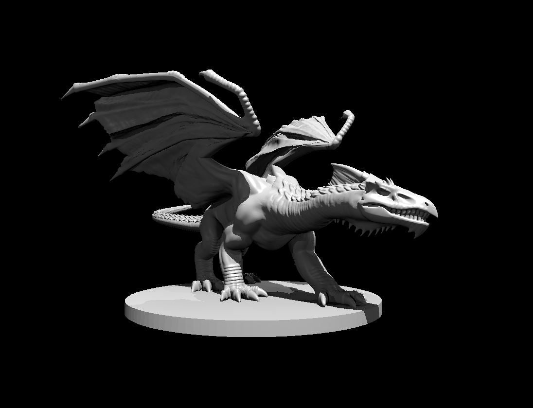 Dragon, Chromatic - White (Various Ages and Poses) - MZ4250